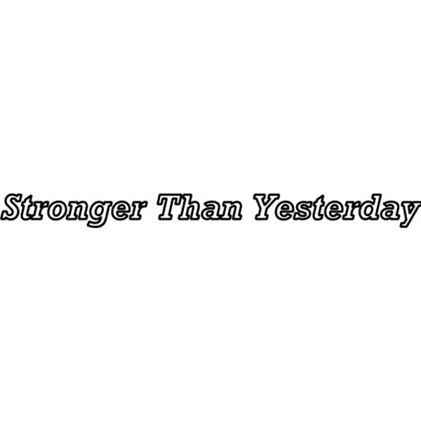 Logo STY Thumbnail
